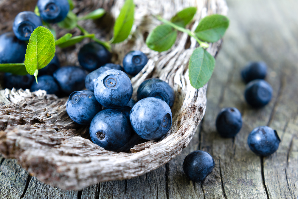 Click here to buy Zazzee Whole Fruit Blueberry Extract to get the benefits of blueberries without eating them! Fight The Aging Process With Anti Aging & Hair Strengthening Foods That You Need To Be Eating. From Olive Oil to Plant Milks, taking on problem with nature.